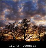 http://img.majidonline.com/pic/53165/navik741 421.jpg 